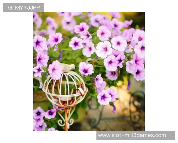 探索赵娜的和平精英之路与深度对话背后的故事与人生哲学